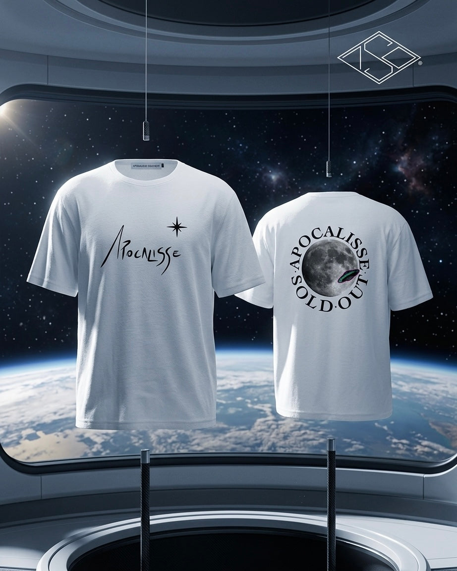 UFO on the Moon I 